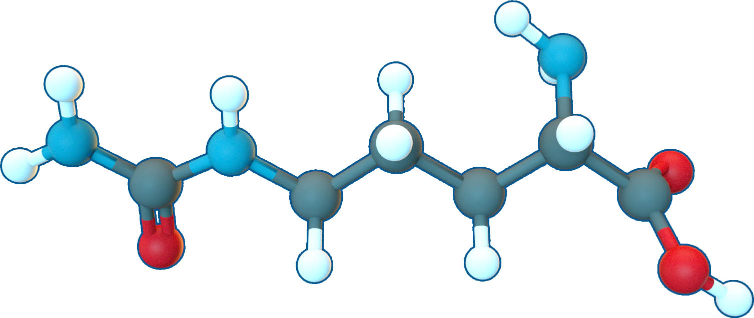 Image of L-Сitrulline | C6H13N3O3 | Supreme Pharmatech